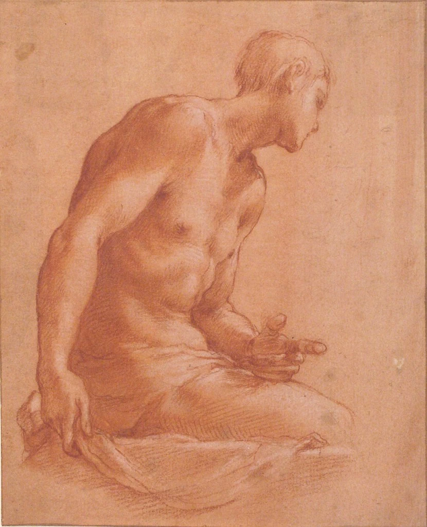 Studio di uomo - Metropolitan Museum of Art